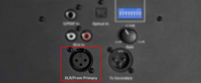 XLR