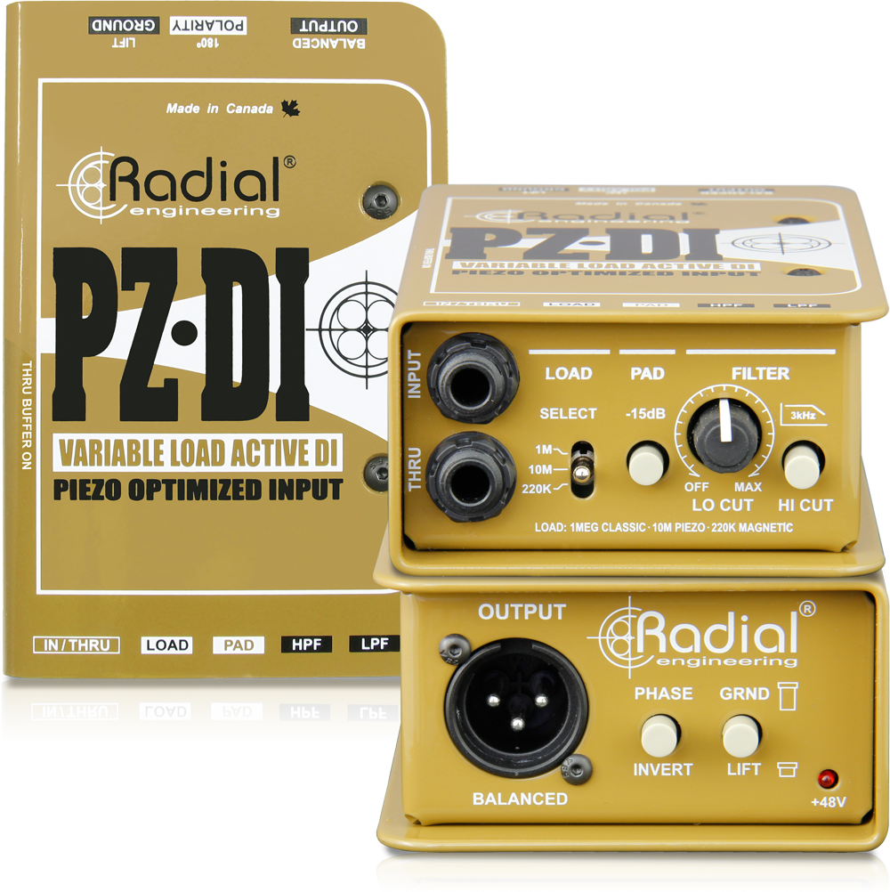 Radial PZ-DI image 2