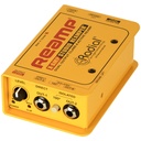 Radial X-Amp story 1